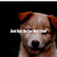 Good Days for Your Best Friend cover
