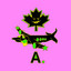 Aeroplani cover