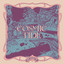 Mr Bison - Cosmic Tide