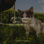 #50 Powerful Deep Sleep Sounds For Cats cover