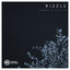 Ambra Nights - Hybris Remix