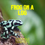 Frog on a Log artwork