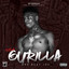 NBA Gurilla cover