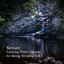 Stream: Calming Water Sounds for Better Sleeping Vol. 1 cover