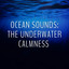 Ocean Sounds: The Underwater Calmness cover