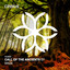 Call Of The Ancients