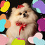 Vibraphone and Tenor Saxophone Solos - Music for Doggy Daycares cover