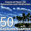 Concerto for Violin and Orchestra No. 4 in D Major KV 218: Andante cantabile