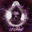 Orchid - Christine Remix cover
