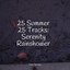 25 Summer 25 Tracks: Serenity Rainshower cover