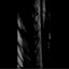 with black branches cover