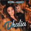 Dhalia cover