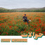 Charif Megarbane - Jana