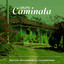 Veleñita cover