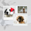 Music for Cozy Dogs cover