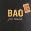 BAO på turné (Live) cover