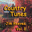 The Streets of Laredo cover