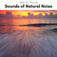 2022 Sounds of Natural Noise cover