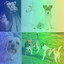 Tenor Sax Jazz - Background for Doggy Days cover