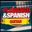 Flamenco and Spanish Guitar cover