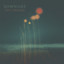Sombre Cattle (NZ) - Soft Valentine