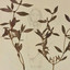 Gallery At Midtown cover