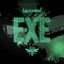 EXE