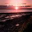 Ruled By Raptors - Recissory