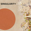 Singularity