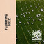 zZz Flurrying Bliss: It's Raining in the Hillside zZz cover