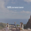 Vivid Al That Brings Comfort cover