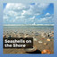 Seashells on the Shore cover