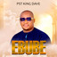 Ebube cover