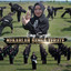 Mekarlah Bunga Terate cover
