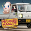 BREAK - Safe Driving - UK