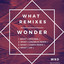 What - Caspa Remix