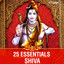 Mahamrityunjay Mantra - 11 chants cover