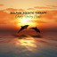 Dolphin Aquatic Therapy: Deeply Healing Music to Increase Relaxation, Reduce Stress, Boosting Endorphins, Enhancing Recovery cover