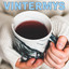 Vintermys cover