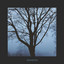 Abandon cover
