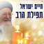 תפילת הרב cover