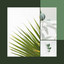 Tranquil (Deep Rest) cover