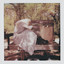 Groceries cover