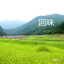 回味 cover
