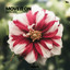 BLR ft. Lou - Move It On (Podium Mix)