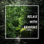 Relax with Brahms cover
