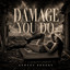 Ashley Brooks - Damage You Do