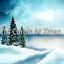14 Carols At Xmas cover