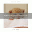 All Waves Sounds For Dearest Cats cover
