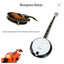 Bluegrass Festival - Amazing Grace